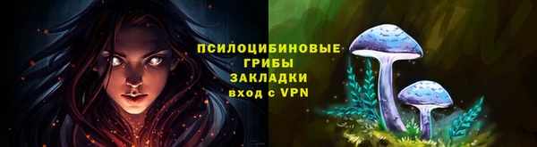 дмт Володарск