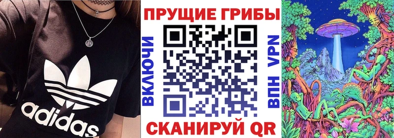закладки  Петухово  Галлюциногенные грибы мухоморы 