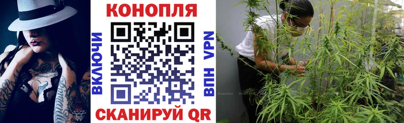 Каннабис MAZAR  Петухово 